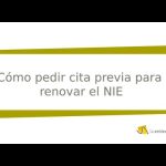 Renovar NIE: Todo lo necesario para la segunda vez