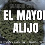Descubre cu&aacute;nto cobra una empleada de hogar por 25 horas semanales