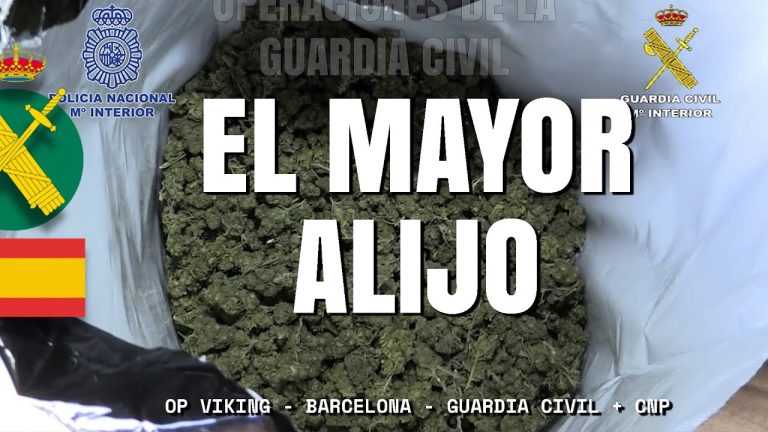 Descubre el Precio Actual del Gramo de Marihuana en España