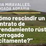 Modelo de medidas paterno