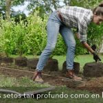 Descubre las claves del ep&iacute;grafe 861 y cumple tus obligaciones fiscales