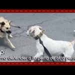 ¡Devuélveme mi paga y señal! La lucha por recuperar lo que es tuyo