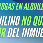 Opiniones sobre el seguro de impago de alquiler: ¿Das?