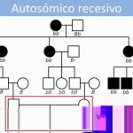 Transforma tu hogar: Ampl&iacute;a tu balc&oacute;n hacia adentro y disfruta de un espacio extra