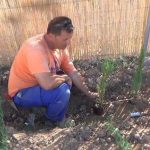 &iexcl;Incre&iacute;ble descubrimiento! IBI a nombre equivocado del due&ntilde;o