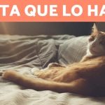 Descubre el misterio del ‘tío segundo’: ¿Un parentesco desconocido?