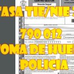 Sorprendente: &iexcl;Estoy embarazada y mi novio no deja de salir de fiesta!